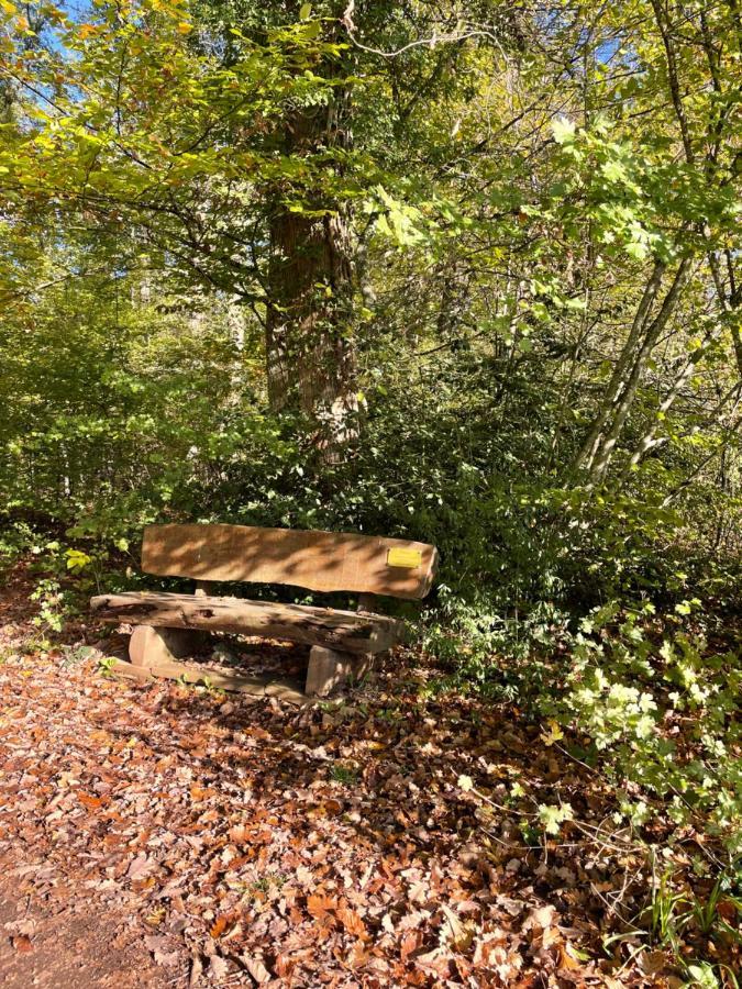 En Pleine Nature Apartment Klingenthal